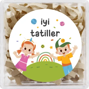 Repro Design Iyi Tatiller Baskılı Yapışkanlı Etiket 4 cm Yuvarlak 24 Adet, Okul Öncesi Hediye Paketi Etiketi
