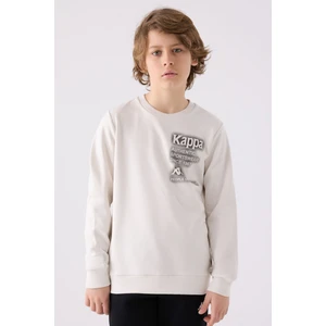 Erkek Çocuk Beyaz Sweatshirt