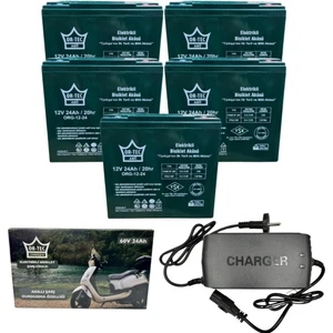 5'li Set 12V 24 Ah Elektrikli Motosiklet Aküsü ve 60V 24AH Elektrikli Bisiklet Şarj Aleti Seti
