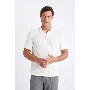 Regular Fit Kısa Kollu Dokulu Triko Polo Tişört C4140AX24SM
