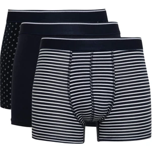 Regular Fit 3'lü Boxer A1459AX24SM