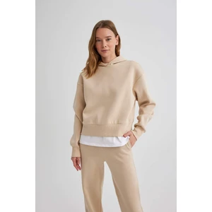 Boxy Fit Kapüşonlu Kalın Basic Düz Sweatshirt B8570AX24SP
