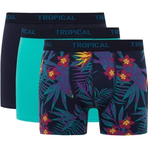Regular Fit 3'lü Boxer B7961AX24SM