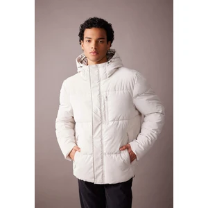Regular Fit Kapüşonlu Şişme Mont A2478AX23WN