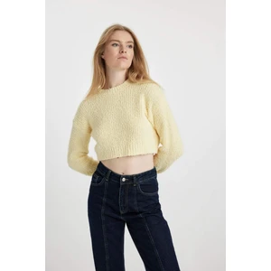 Coool Regular Fit Bisiklet Yaka Triko Kazak B3560AX23WN