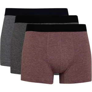 Regular Fit 3'lü Boxer C3288AX24SP