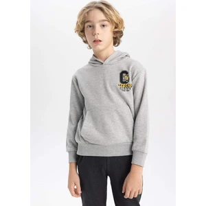 Erkek Çocuk Baskılı Kapüşonlu Kalın Sweatshirt B9012A823CW