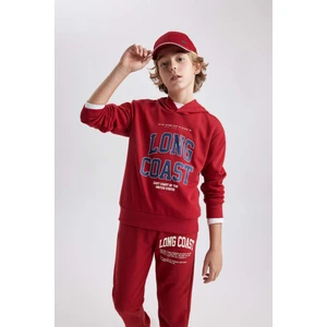 Erkek Çocuk Baskılı Kapüşonlu Kalın Sweatshirt B8987A823CW