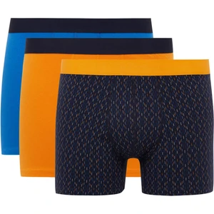 Regular Fit 3'lü Boxer B7938AX24SM