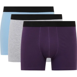 Regular Fit 3'lü Boxer B7797AX24SM