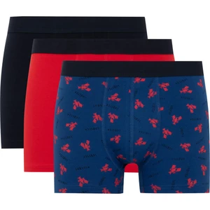Regular Fit 3'lü Boxer C3291AX24SM