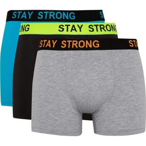 Regular Fit 3'lü Boxer B7887AX24SM