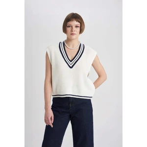 Relax Fit V Yaka Selanik Kumaş Süveter C1424AX24SP