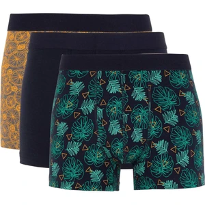 Regular Fit 3'lü Boxer B8513AX24SM