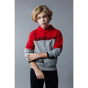 Erkek Çocuk Kapüşonlu Baskılı Kalın Sweatshirt B5949A823WN