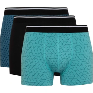 Regular Fit 3'lü Boxer A5864AX24SM