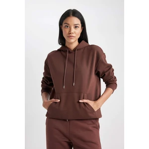 Relax Fit Kapüşonlu Kalın Sweatshirt W1240AZ23WN