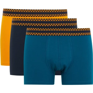 Regular Fit 3'lü Boxer B0524AX23AU