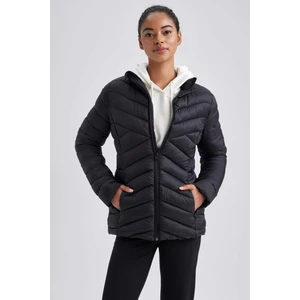 DeFactoFit Su İtici Slim Fit Ultra Hafif Kapitoneli Şişme Mont A1546AX23AU