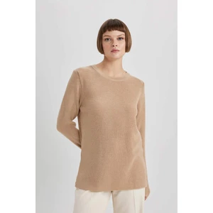 Regular Fit Bisiklet Yaka Simli Kumaş Kazak L1679AZ23WN