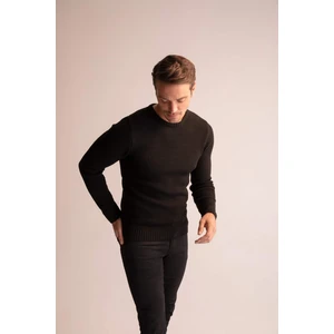 Regular Fit Bisiklet Yaka Triko Kazak N9902AZ22WN