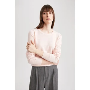 Regular Fit Bisiklet Yaka Yumuşak Dokulu Basic Düz Triko Kazak F7091AZ23WN