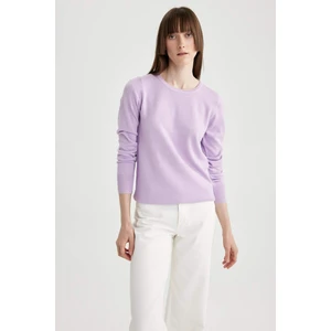 Regular Fit Bisiklet Yaka Yumuşak Dokulu Basic Düz Triko Kazak F7091AZ23WN