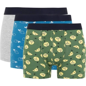Regular Fit 3'lü Boxer Y3179AZ23AU