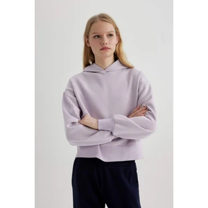 Boxy Fit Kapüşonlu Kalın Basic Düz Sweatshirt B8570AX24SP