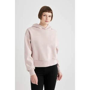 Boxy Fit Kapüşonlu Kalın Basic Düz Sweatshirt B8570AX23WN