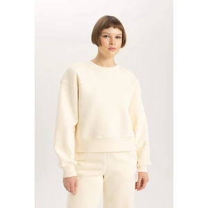 Relax Fit Bisiklet Yaka Kalın Basic Düz Sweatshirt B8568AX23WN