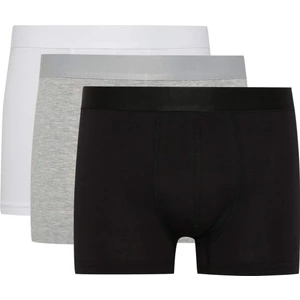 Erkek Regular Fit 3'lü Boxer A3152AX24SM