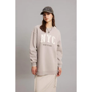Regular Fit Bisiklet Yaka İçi Yumuşak Tüylü Sweatshirt Tunik B9299AX24SP