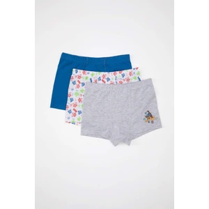 Erkek Çocuk Paw Patrol Desenli 3'lü Boxer C2901A824SM