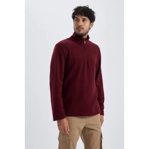 Regular Fit Dik Yaka Fermuarlı Polar Sweatshirt Y3996AZ23AU
