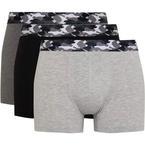 Regular Fit 3'lü Boxer A5862AX24SM