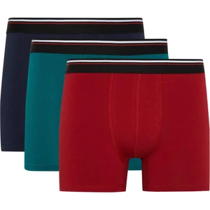 Regular Fit 3'lü Boxer B0572AX23AU