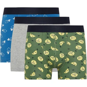 Regular Fit 3'lü Boxer Y3179AZ24SM