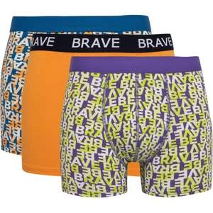 Regular Fit 3'lü Boxer B7968AX24SP