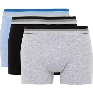 Regular Fit 3'lü Boxer B7952AX24SP