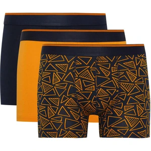 Regular Fit 3'lü Boxer T4929AZ24SM