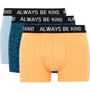 Regular Fit 3'lü Boxer B7912AX24SM