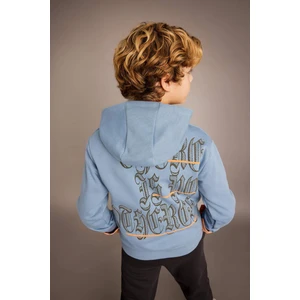 Erkek Çocuk Baskılı Kapüşonlu Kalın Sweatshirt B6313A823CW