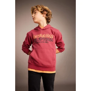 Erkek Çocuk Baskılı Kapüşonlu Kalın Sweatshirt B6312A823CW