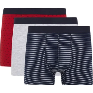 Regular Fit 3'lü Boxer B0539AX23AU
