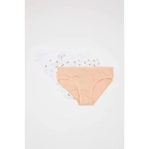 Kız Çocuk 3'lü Slip Külot B8805A824SP