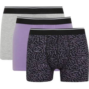 Regular Fit 3'lü Boxer A5859AX23AU