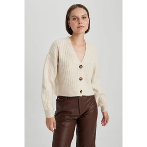 Regular Fit V Yaka Triko Hırka R1389AZ23WN