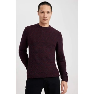 Standart Fit Normal Kesim Bisiklet Yaka Dokulu Basic Düz Triko Kazak R1175AZ23AU