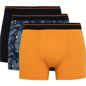 Regular Fit 3'lü Boxer A3158AX24SM